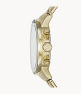 ساعة فوسيل بانون متعددة الوظائف للرجال، مطلية بالذهب، بمينا أخضر، موديل BQ2493