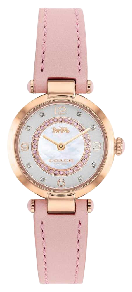 Coach Cary Mother Of Pearl Dial Pink Leather Strap Women's Watch 14503896