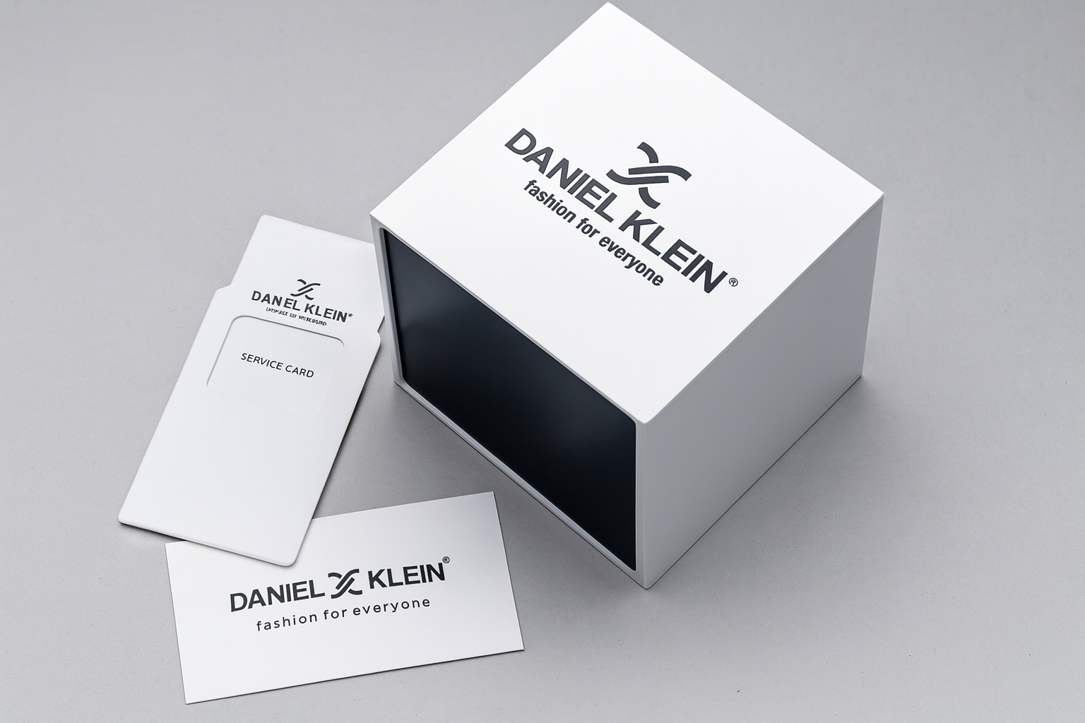 Daniel Klein Silver Watch DK.1.13879-1