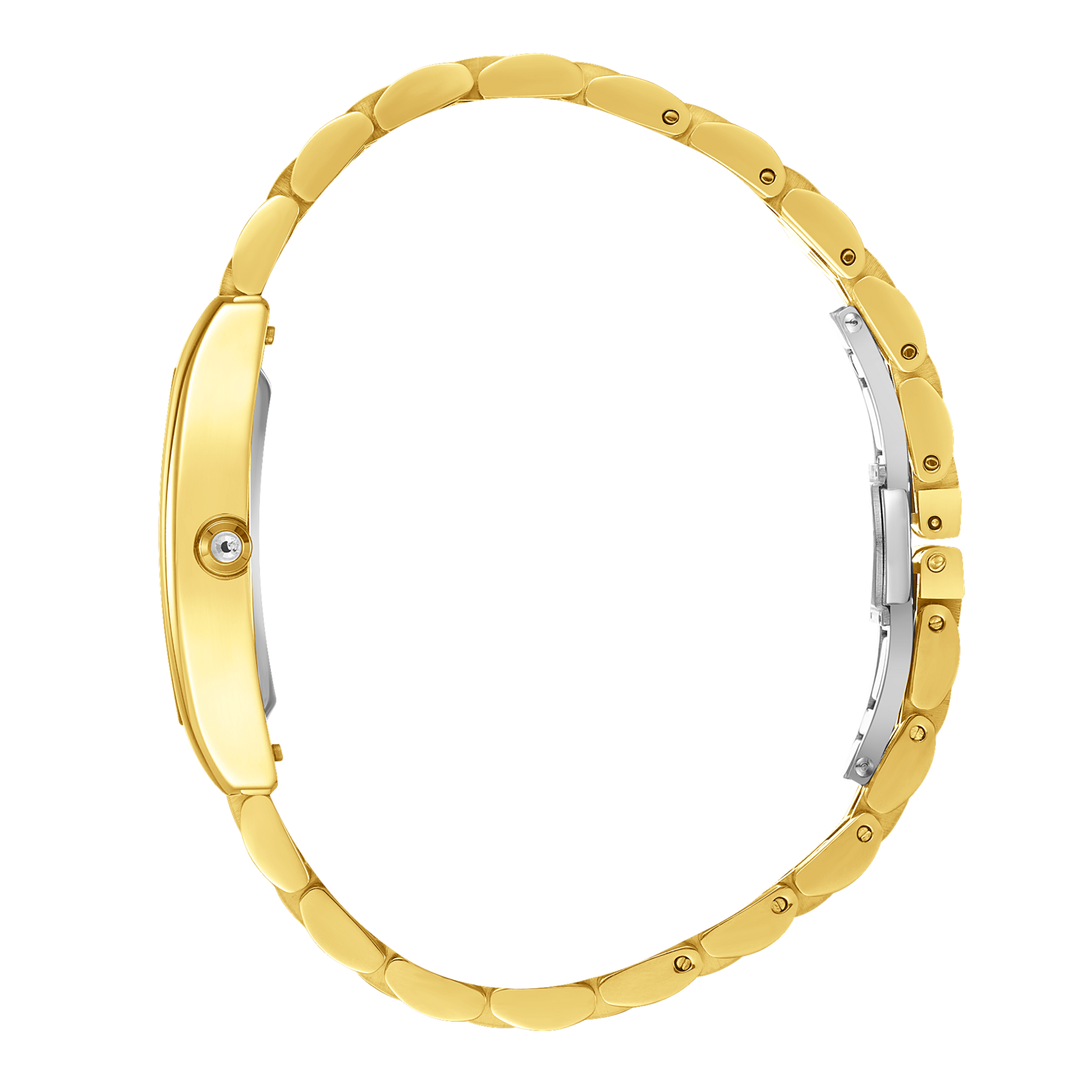 Beverly Hills Polo Club Gold Ladies Watch BP3716X.170