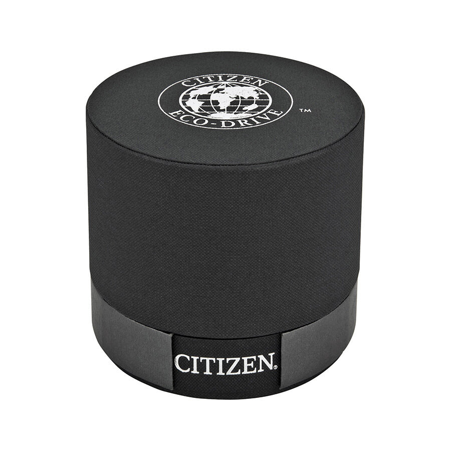 Citizen Eco Drive Stiletto Men's Watch AR3015-53E – Watches of America
