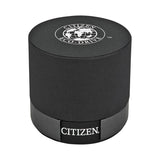 Citizen Eco Drive Black Dial Stainless Steel Ladies Watch #EW1410-50E - Watches of America #4