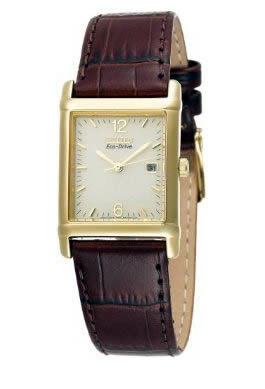 Citizen Men's Eco-Drive 180 Gold-Tone Leather Watch #BW0072-07P - Watches of America