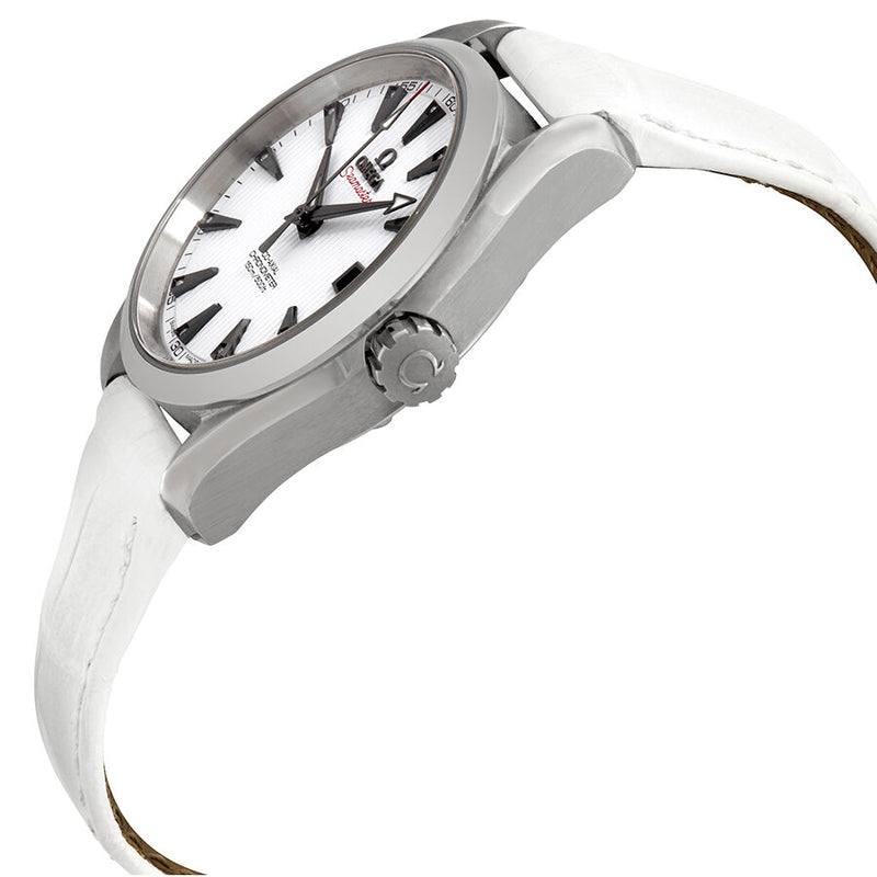 Omega Seamaster Aqua Terra Automatic Men's Watch #231.13.39.21.54.001 - Watches of America #2