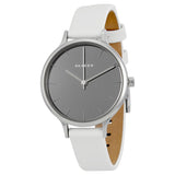 Skagen Anita Mirror Gray Dial Ladies Watch SKW2414 - Watches of America