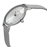 Skagen Anita Silver Dial Stainless Steel Mesh Ladies Watch #SKW2149 - Watches of America #2