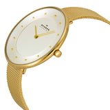 Skagen Gitte Silver Dial Gold-tone Mesh Ladies Watch SKW2141 - Watches of America #2