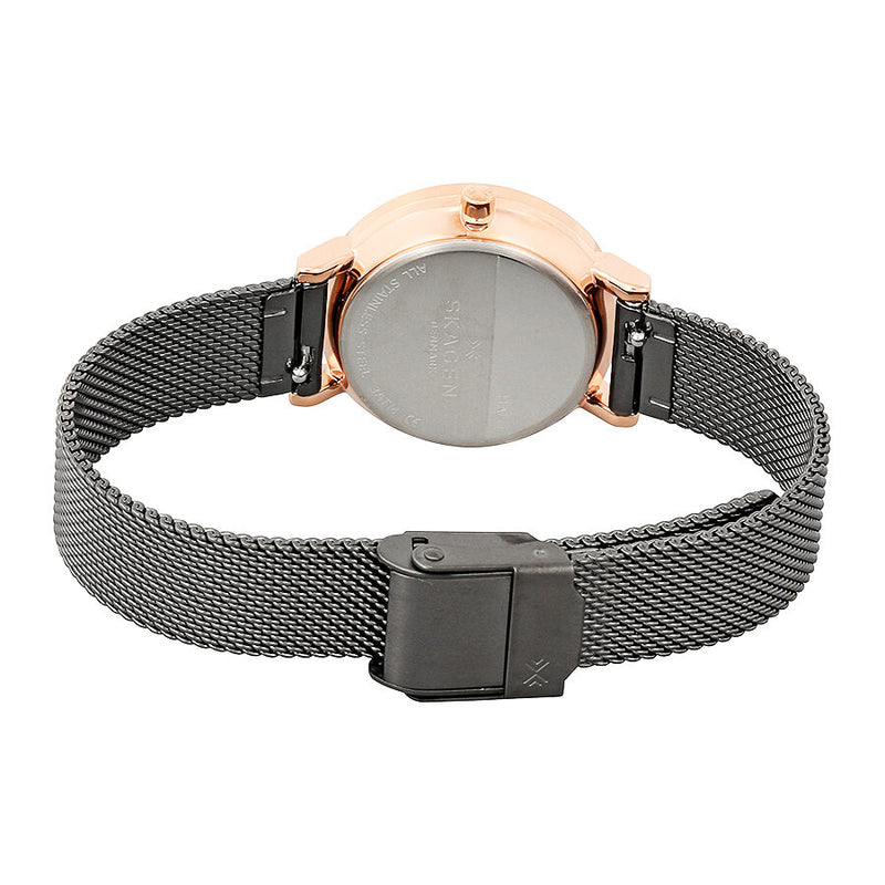 Skagen Hald Rose Gold-tone and Gunmetal Ladies Watch SKW2492 - Watches of America #3