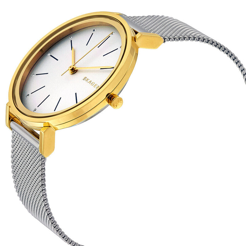 Skagen Hald Silver Dial Steel and Yellow Gold PVD Ladies Watch SKW2508 - Watches of America #2